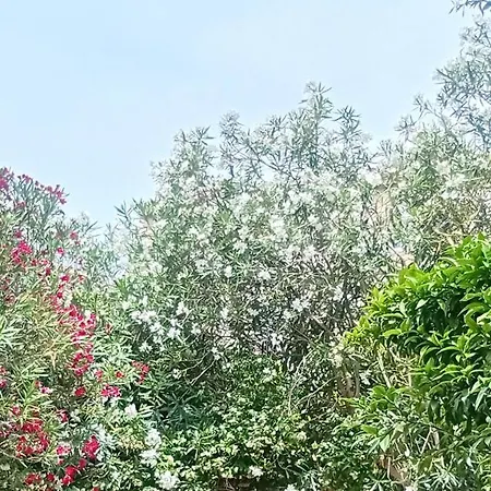 Prive Avec Terrasse En Centre מונפלייה