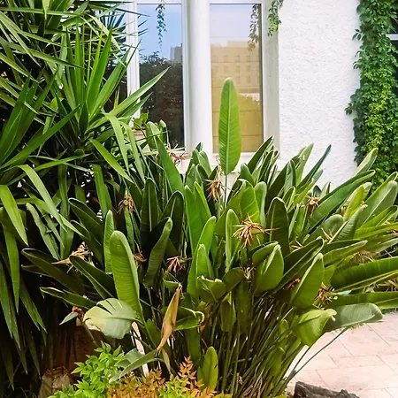 Prive Avec Terrasse En Centre דירה *