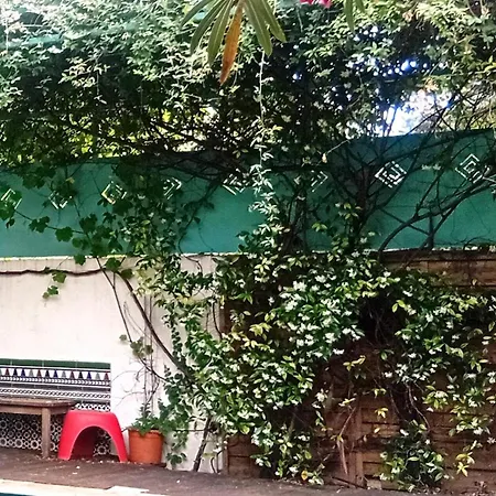 Prive Avec Terrasse En Centre מונפלייה