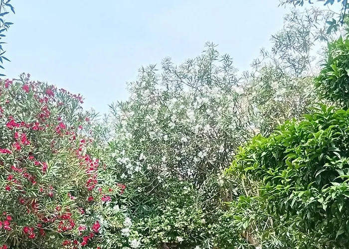 Prive Avec Terrasse En Centre Μονπελιέ