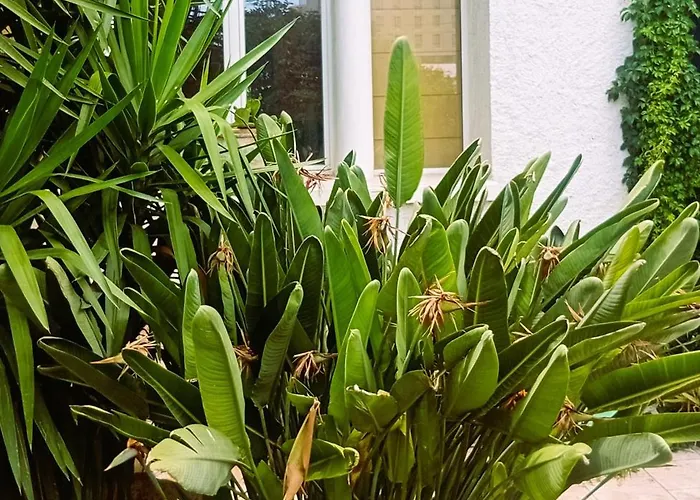 Prive Avec Terrasse En Centre Διαμέρισμα *