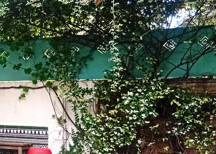 Prive Avec Terrasse En Centre Μονπελιέ